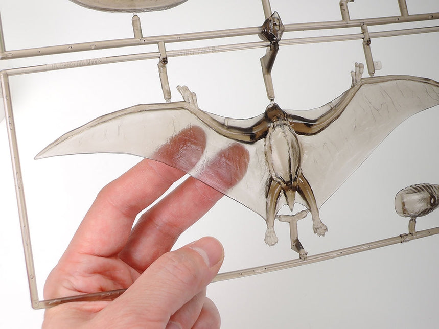Tamiya Pteranodon