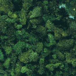 Plastruct Conifer Green Coarse Ground Foam (3/4 oz / 20 gram package)