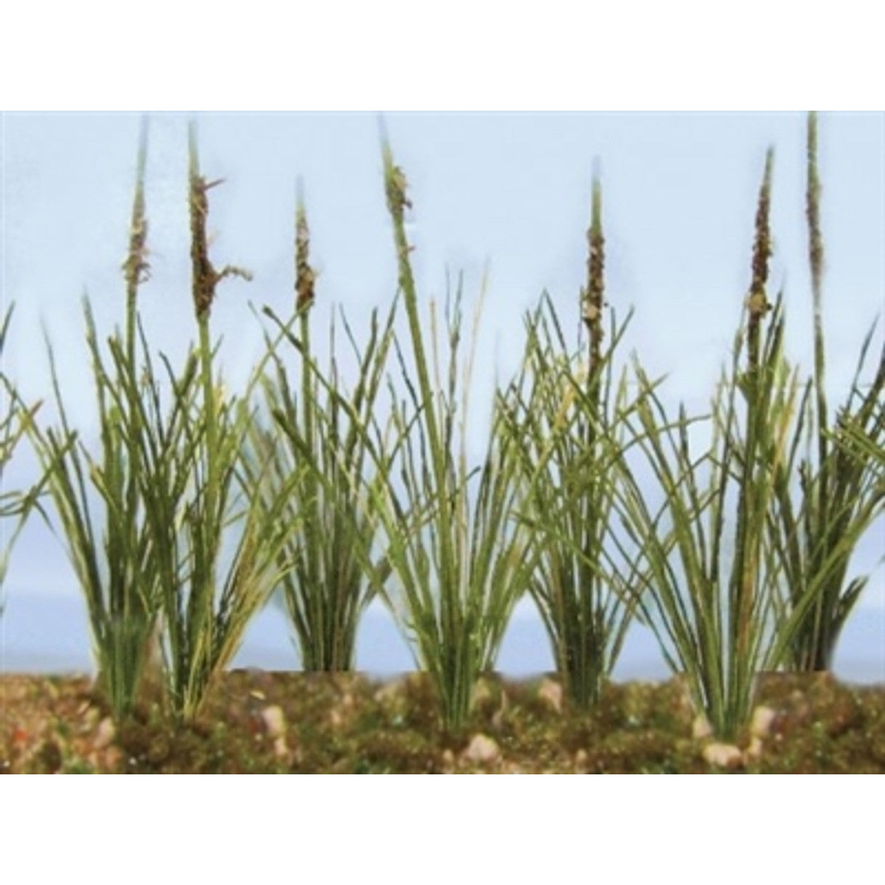 JTT Cattails Dried 1.5'' 24 Pack