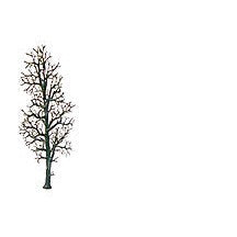 Plastruct 1-1/4" BARREN TREES - Sold Out and Discontinued